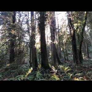 Meet your Posher, Renee